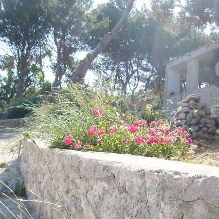 Villa Aquarium Галяно дел Капо Екстериор снимка